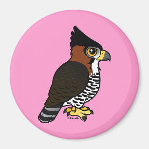 Imã Falcão-Eagle ornamentado