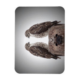 Ímã Falcões em um cargo