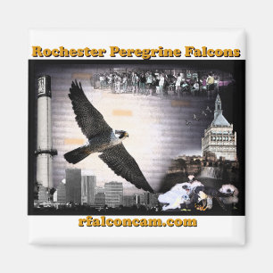 Imã Falcons de peregrino de Rochester do ímã