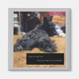 Imã Fale com a Cauda