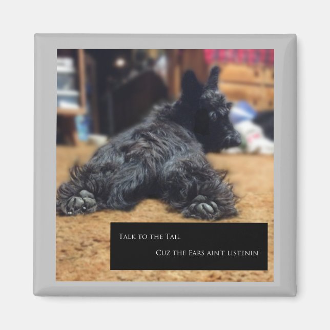 Imã Fale com a Cauda (Frente)