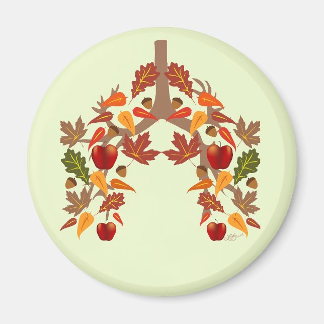 Imã Fall CF (Frente)