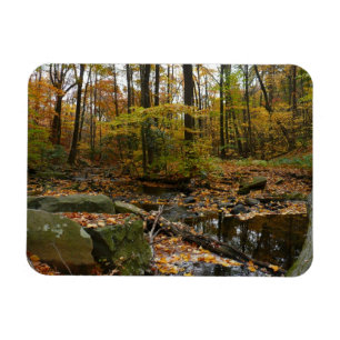 Ímã Fall Creek com Reflexão no Laurel Hill Park