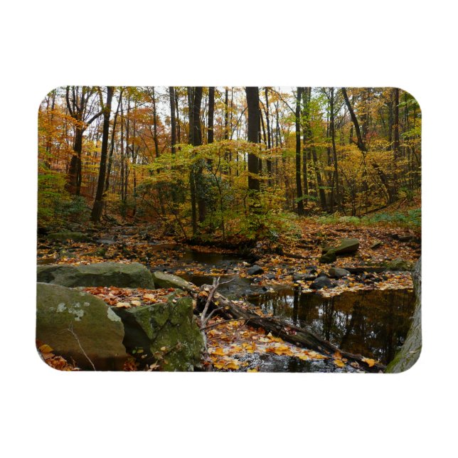 Ímã Fall Creek com Reflexo no Laurel Hill Park (Horizontal)