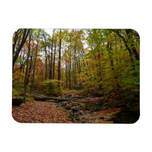 Ímã Fall Creek em Laurel Hill State Park na Pensilvâni