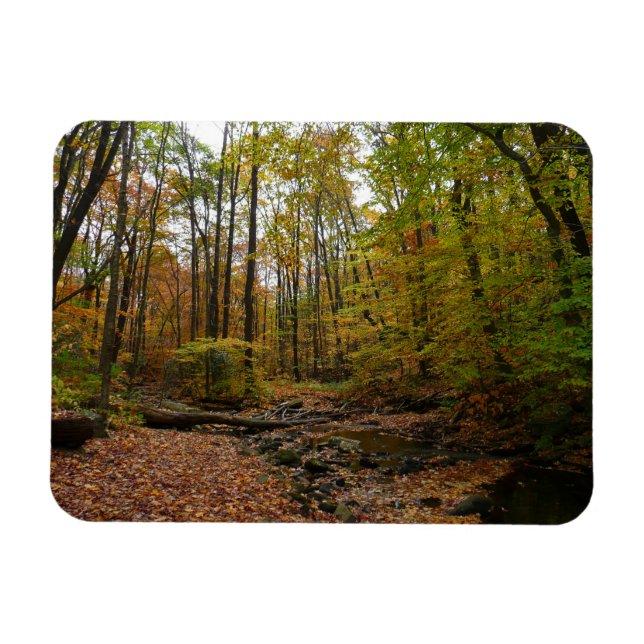 Ímã Fall Creek em Laurel Hill State Park na Pensilvâni (Horizontal)