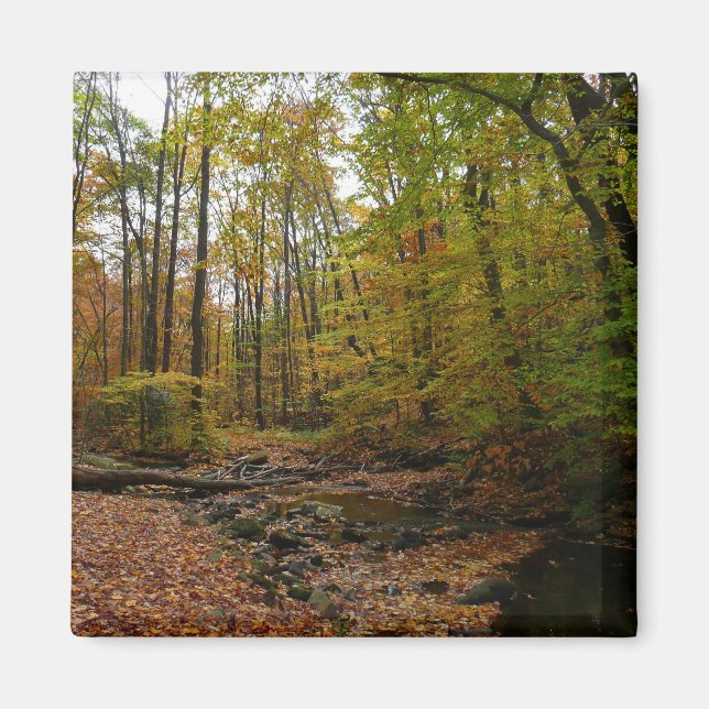 Imã Fall Creek no Parque Estadual de Laurel Hill (Frente)