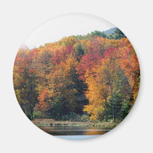 Imã Fall Foliage Pond Nature Fotografia