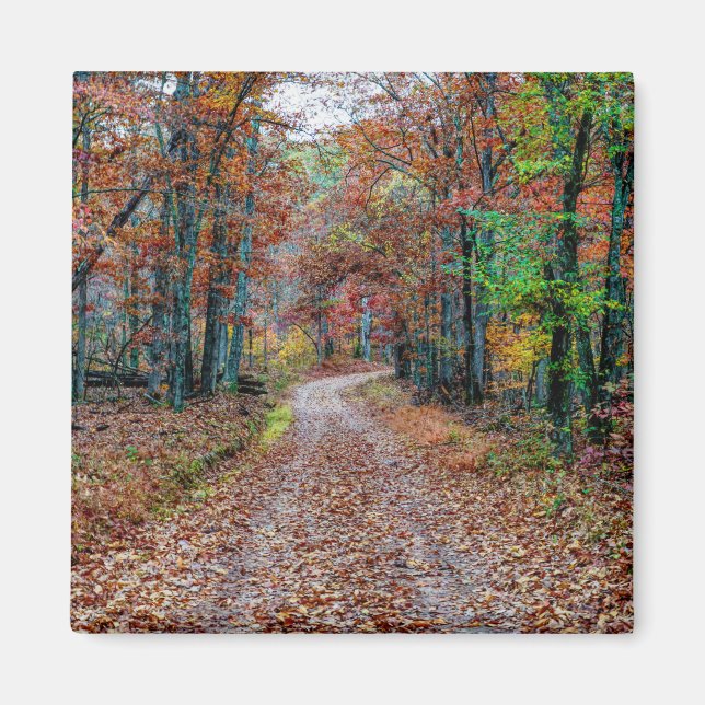 Imã Fall On The Dirt Road new (Frente)