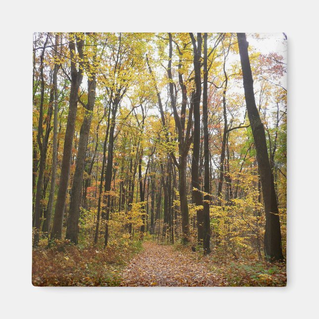 Imã Fall Trail and Ouro Leaves no Laurel Hill Park (Frente)