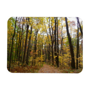 Ímã Fall Trail and Ouro Leaves no Laurel Hill Park