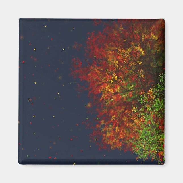 Imã Falling Rainbow Magnet (Frente)