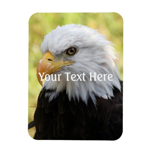 Ímã Falln Bald Eagle Liberty (Vertical)