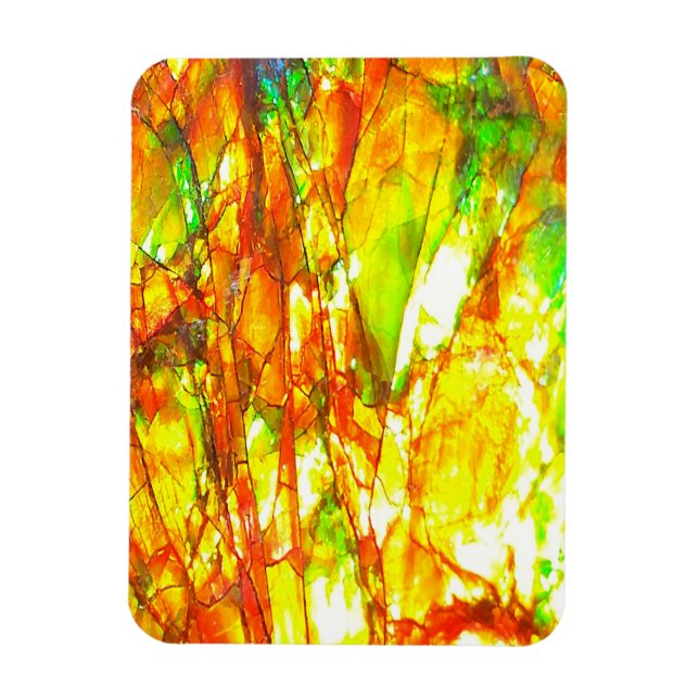 Ímã Falln Sunset Ammolite (Vertical)
