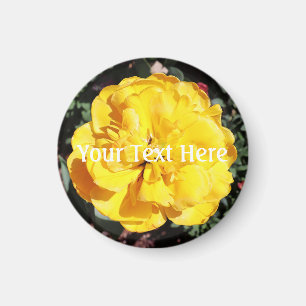 Imã Falln Sunshine Floral