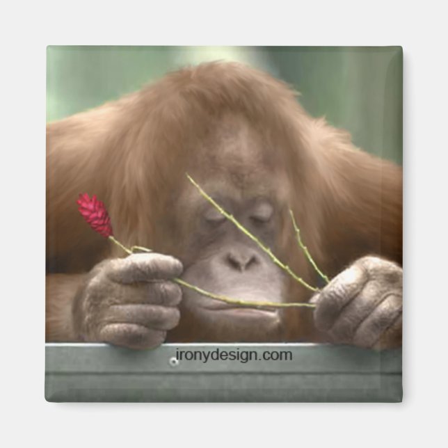 Imã Faltando você (Frente)