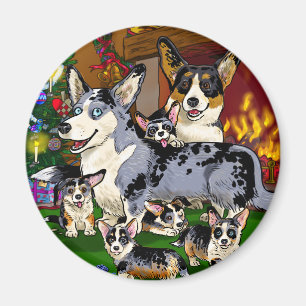 Imã Família bonita