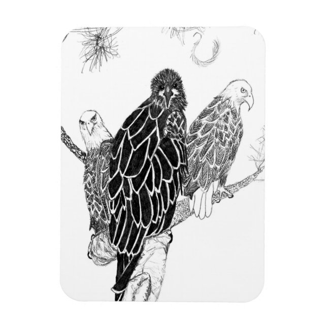 ÍMÃ FAMÍLIA DE ÁGUA M15, E15 + HARRIET UM CASO FAMILIA (Vertical)