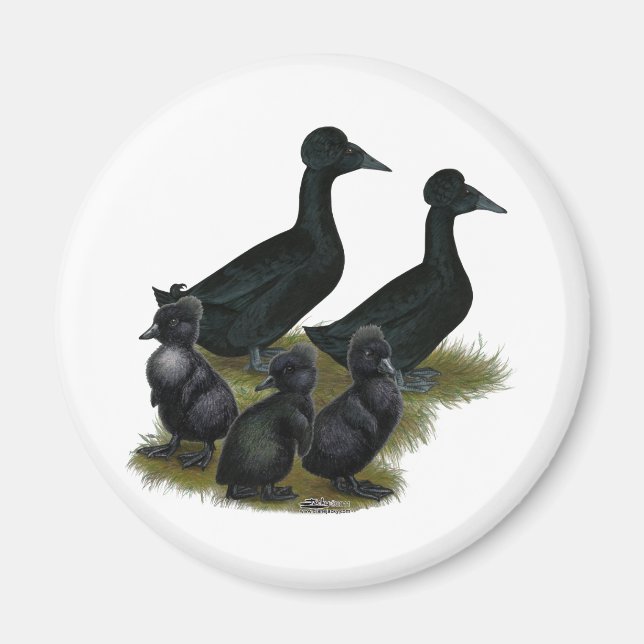 Imã Família de Pato com Topete Preto (Frente)