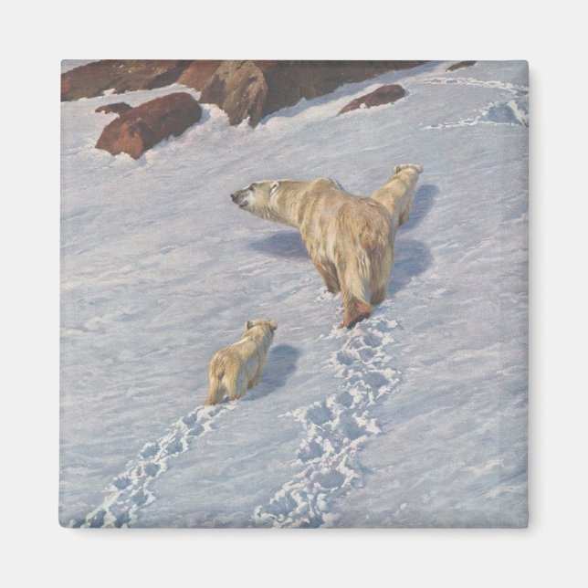 Imã Família de Ursos Polares na Neve Ártica (Frente)