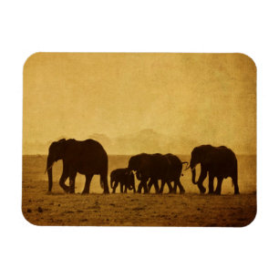Ímã Família do elefante
