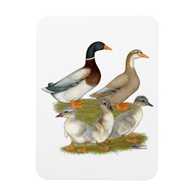 Ímã Família do pato de Saxony (Vertical)