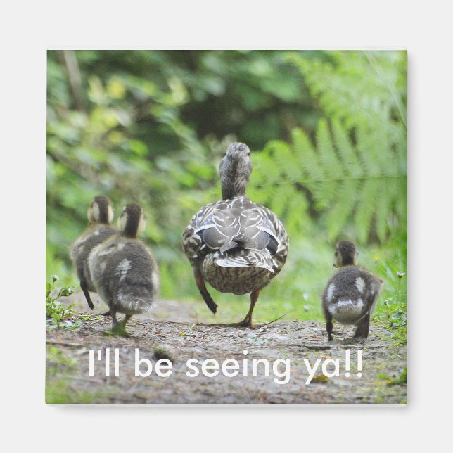 Imã Família Duck (Frente)