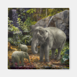 Imã Família Elefante "FESTA DE FLORESTA DE CHUVA"