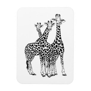 Ímã Família Giraffe