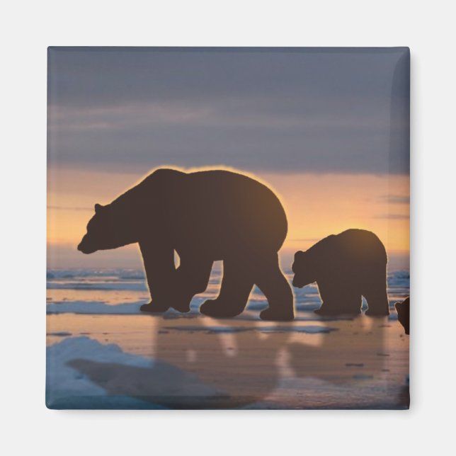 Imã Família Polar Bear (Frente)