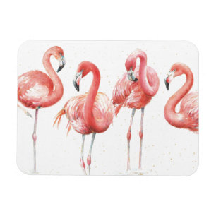 Ímã Família tropical de   dos flamingos