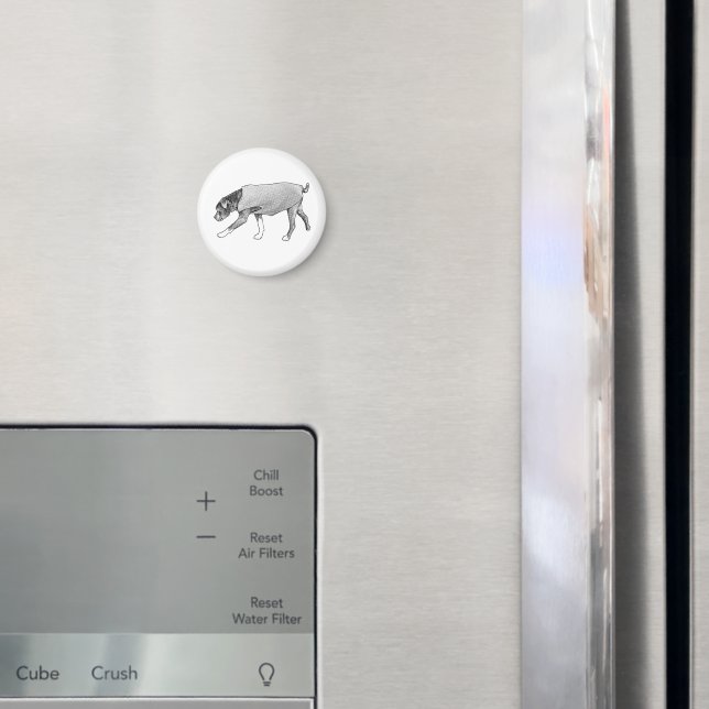 Imã Familiar Paths Remembered (In Situ (Fridge))