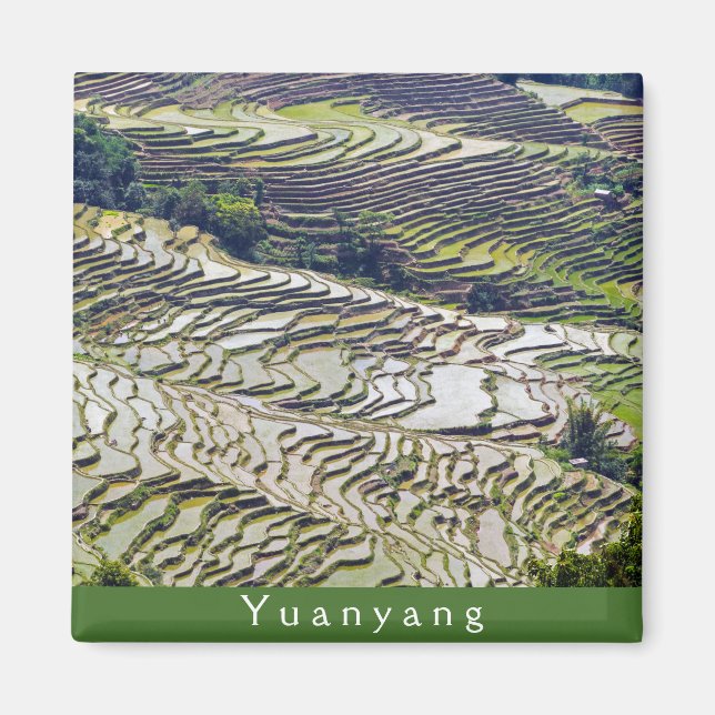 Imã Famosos terraços de arroz yuanyang - Yunnan, China (Frente)