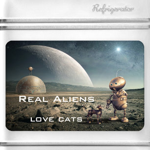 Ímã Fantasia Engraçada Magnet Alienígena Gato Louco