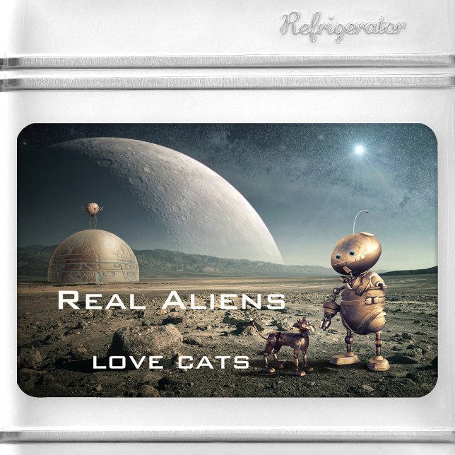 Ímã Fantasia Engraçada Magnet Alienígena Gato Louco (Funny space magnet featuring an image of a strange planet with a cute kitty talking to an alien.)