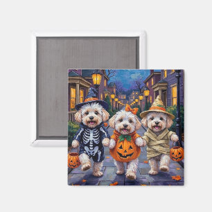 Imã Fantasias de Halloween para Bichon Frise em Doces