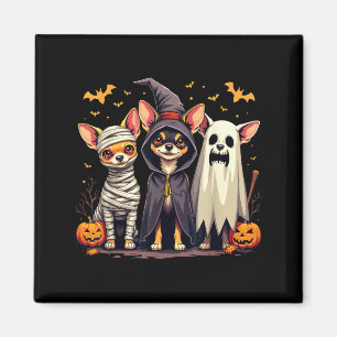 Imã Fantasias de Halloween para Chihuahua Múmia Bruxa 