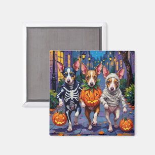 Imã Fantasias de Halloween para Trick-or-Treat de Rat