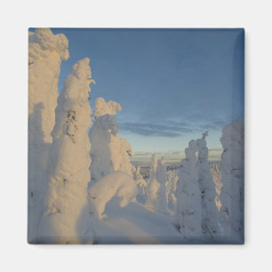 Imã Fantasmas de neve ao pôr do sol na Montanha Whitef