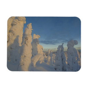 Ímã Fantasmas de neve ao pôr do sol no Whitefish Mount