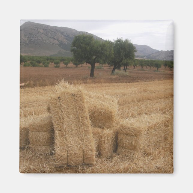 Imã Fardos de Palha & Amendoeiras (Frente)