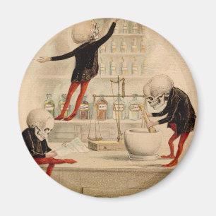 Imã Farmácia esqueletal