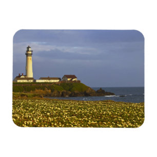 Ímã Farol em Pigeon Point State Beach em San