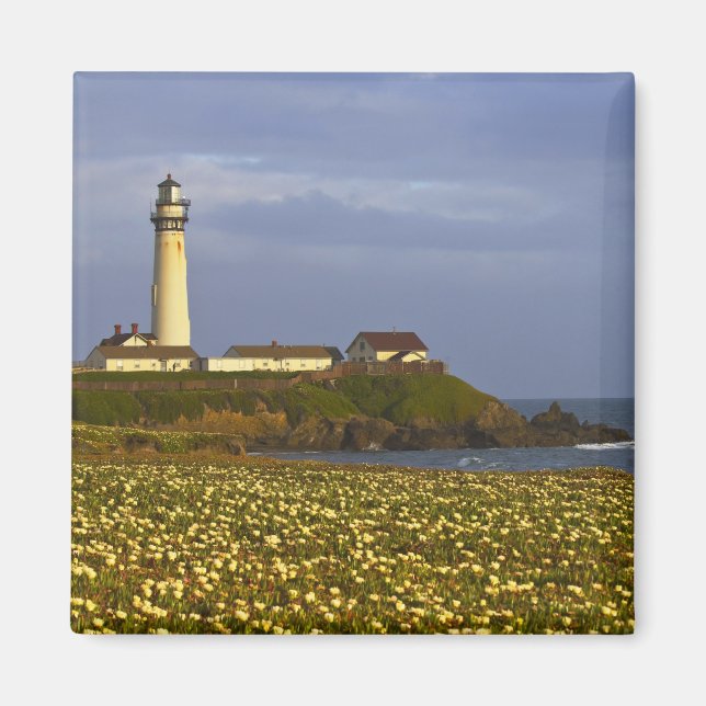 Imã Farol em Pigeon Point State Beach em San (Frente)