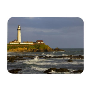 Ímã Farol em Pigeon Point State Beach em San 2