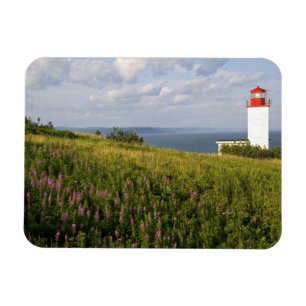 Ímã Farol em St. Martins, New Brunswick,