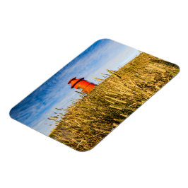 Ímã Farol em Stykholmur, Islândia