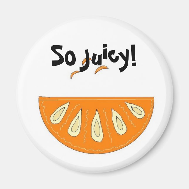 Imã Fatia de Laranja Suculenta (Frente)