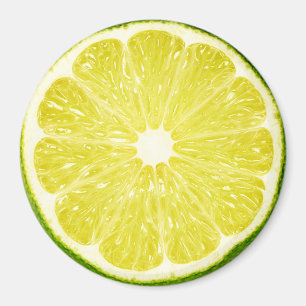 Imã Fatia do limão