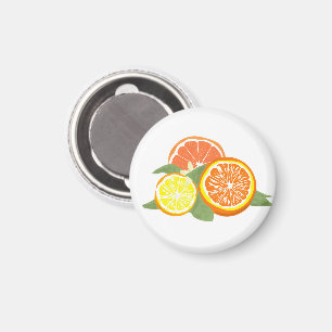 Imã Fatias Frescas de Citrinos Laranja Limão